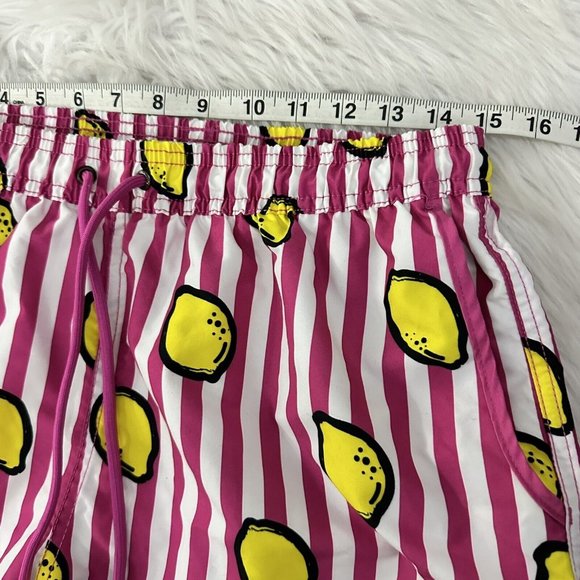 Mr. Swim Swim Mr Swim Mens Large Pink Striped Lemon Swim Shorts